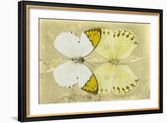 Miss Butterfly Duo Formoia - Yellow-Philippe Hugonnard-Framed Photographic Print