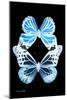 Miss Butterfly Duo Genuswing II - X-Ray Black Edition-Philippe Hugonnard-Mounted Photographic Print