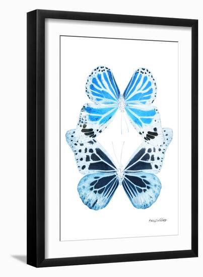 Miss Butterfly Duo Genuswing II - X-Ray White Edition-Philippe Hugonnard-Framed Photographic Print