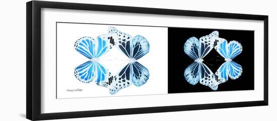 Miss Butterfly Duo Genuswing Pan - X-Ray B&W Edition-Philippe Hugonnard-Framed Photographic Print