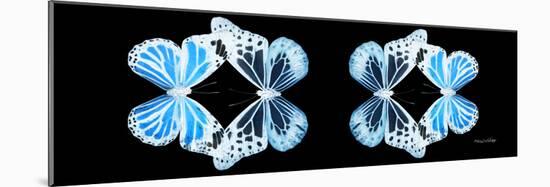 Miss Butterfly Duo Genuswing Pan - X-Ray Black Edition II-Philippe Hugonnard-Mounted Photographic Print