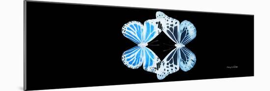 Miss Butterfly Duo Genuswing Pan - X-Ray Black Edition-Philippe Hugonnard-Mounted Photographic Print