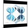 Miss Butterfly Duo Genuswing Sq - X-Ray B&W Edition-Philippe Hugonnard-Mounted Photographic Print