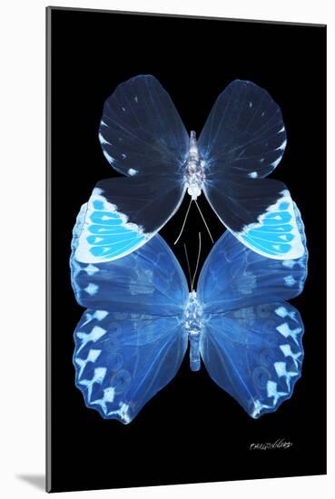 Miss Butterfly Duo Heboformo II - X-Ray Black Edition-Philippe Hugonnard-Mounted Photographic Print