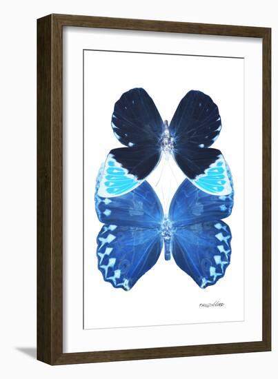 Miss Butterfly Duo Heboformo II - X-Ray White Edition-Philippe Hugonnard-Framed Photographic Print