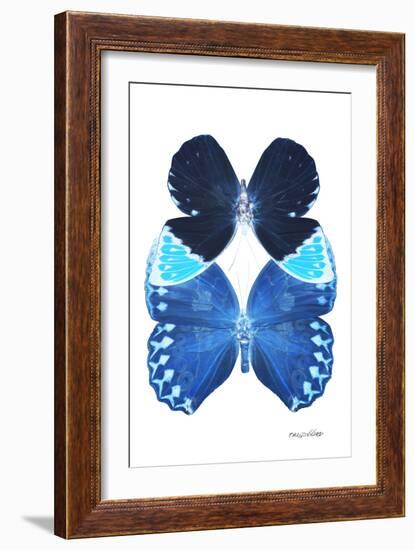 Miss Butterfly Duo Heboformo II - X-Ray White Edition-Philippe Hugonnard-Framed Photographic Print