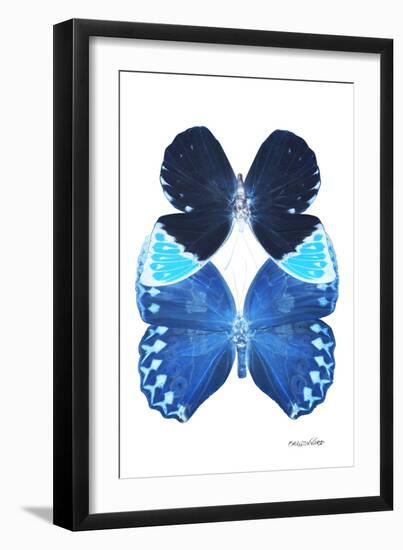 Miss Butterfly Duo Heboformo II - X-Ray White Edition-Philippe Hugonnard-Framed Photographic Print