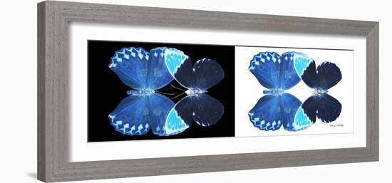 Miss Butterfly Duo Heboformo Pan - X-Ray B&W Edition-Philippe Hugonnard-Framed Photographic Print