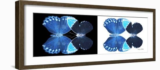 Miss Butterfly Duo Heboformo Pan - X-Ray B&W Edition-Philippe Hugonnard-Framed Photographic Print