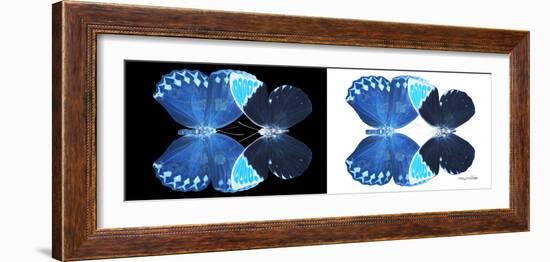 Miss Butterfly Duo Heboformo Pan - X-Ray B&W Edition-Philippe Hugonnard-Framed Photographic Print