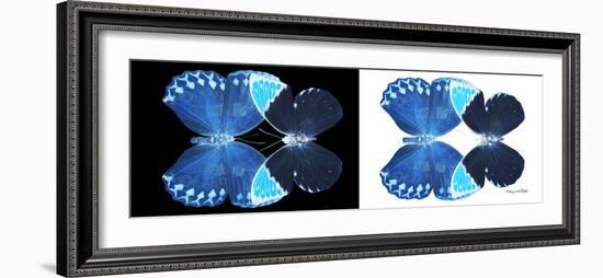 Miss Butterfly Duo Heboformo Pan - X-Ray B&W Edition-Philippe Hugonnard-Framed Photographic Print