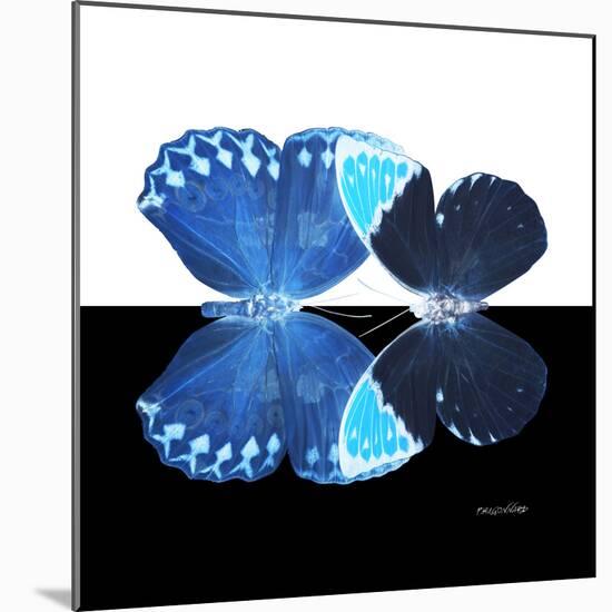 Miss Butterfly Duo Heboformo Sq - X-Ray B&W Edition-Philippe Hugonnard-Mounted Photographic Print