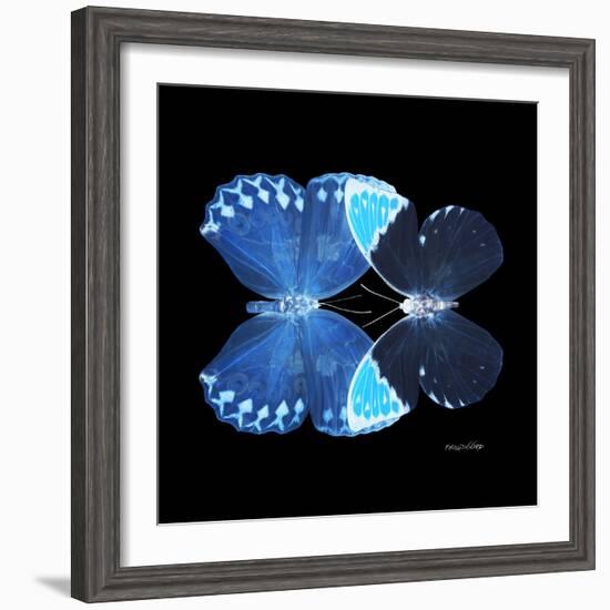 Miss Butterfly Duo Heboformo Sq - X-Ray Black Edition-Philippe Hugonnard-Framed Photographic Print