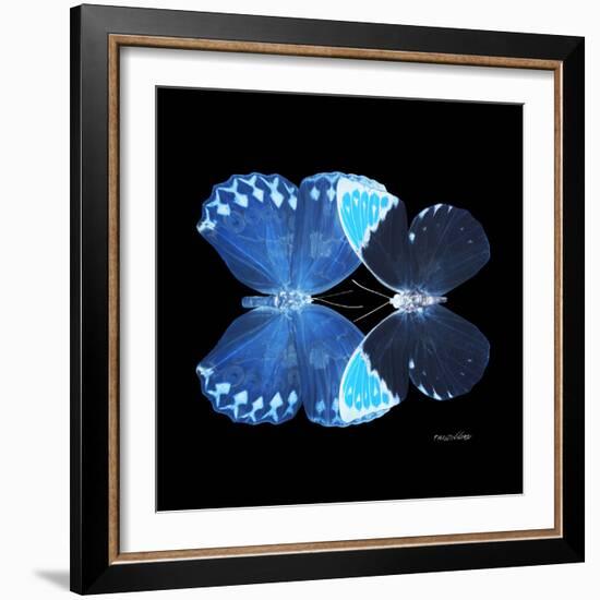 Miss Butterfly Duo Heboformo Sq - X-Ray Black Edition-Philippe Hugonnard-Framed Photographic Print