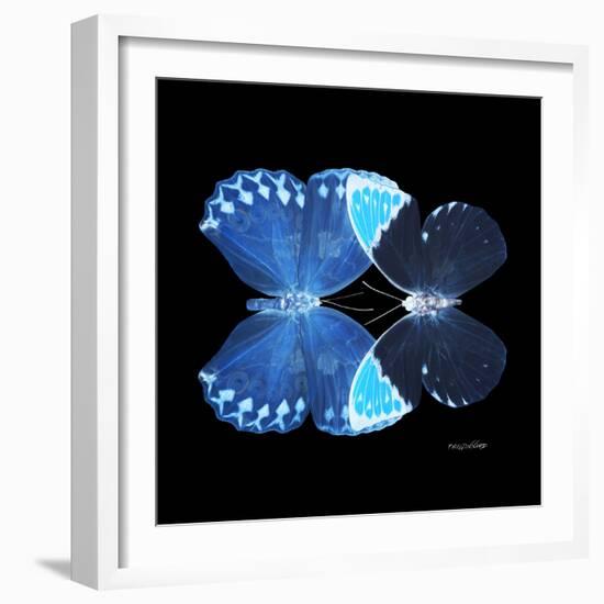 Miss Butterfly Duo Heboformo Sq - X-Ray Black Edition-Philippe Hugonnard-Framed Photographic Print