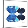 Miss Butterfly Duo Heboformo Sq - X-Ray White Edition-Philippe Hugonnard-Mounted Photographic Print