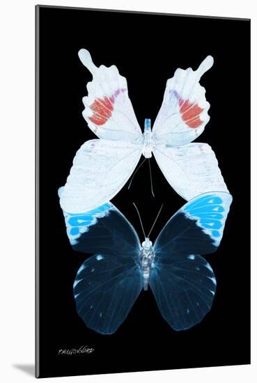 Miss Butterfly Duo Hermosana II - X-Ray Black Edition-Philippe Hugonnard-Mounted Photographic Print