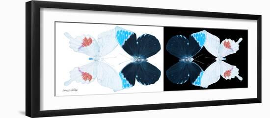 Miss Butterfly Duo Hermosana Pan - X-Ray B&W Edition-Philippe Hugonnard-Framed Photographic Print