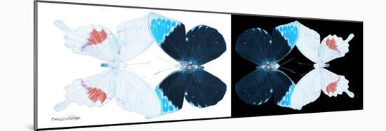 Miss Butterfly Duo Hermosana Pan - X-Ray B&W Edition-Philippe Hugonnard-Mounted Photographic Print