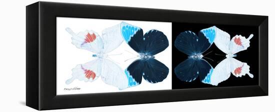 Miss Butterfly Duo Hermosana Pan - X-Ray B&W Edition-Philippe Hugonnard-Framed Premier Image Canvas