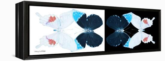 Miss Butterfly Duo Hermosana Pan - X-Ray B&W Edition-Philippe Hugonnard-Framed Premier Image Canvas
