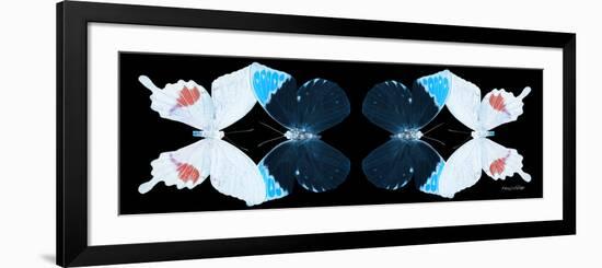 Miss Butterfly Duo Hermosana Pan - X-Ray Black Edition II-Philippe Hugonnard-Framed Photographic Print