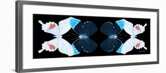 Miss Butterfly Duo Hermosana Pan - X-Ray Black Edition II-Philippe Hugonnard-Framed Photographic Print