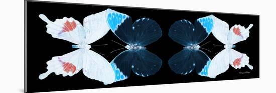 Miss Butterfly Duo Hermosana Pan - X-Ray Black Edition II-Philippe Hugonnard-Mounted Photographic Print