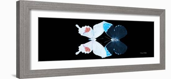 Miss Butterfly Duo Hermosana Pan - X-Ray Black Edition-Philippe Hugonnard-Framed Photographic Print