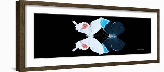 Miss Butterfly Duo Hermosana Pan - X-Ray Black Edition-Philippe Hugonnard-Framed Photographic Print