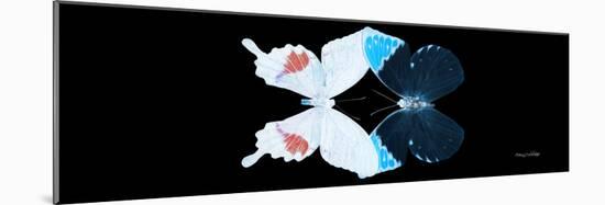 Miss Butterfly Duo Hermosana Pan - X-Ray Black Edition-Philippe Hugonnard-Mounted Photographic Print