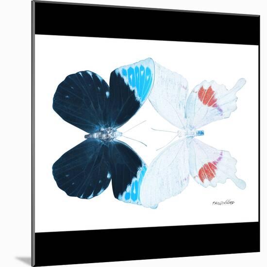 Miss Butterfly Duo Hermosana Sq - X-Ray B&W Edition-Philippe Hugonnard-Mounted Photographic Print