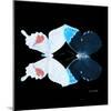 Miss Butterfly Duo Hermosana Sq - X-Ray Black Edition-Philippe Hugonnard-Mounted Photographic Print