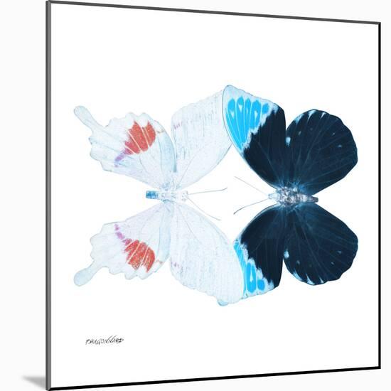 Miss Butterfly Duo Hermosana Sq - X-Ray White Edition-Philippe Hugonnard-Mounted Photographic Print