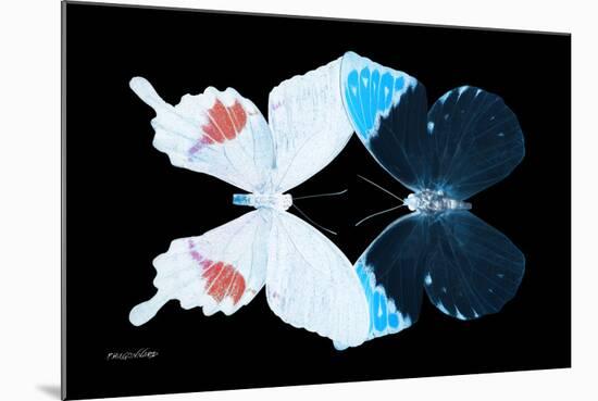 Miss Butterfly Duo Hermosana - X-Ray Black Edition-Philippe Hugonnard-Mounted Photographic Print