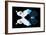 Miss Butterfly Duo Hermosana - X-Ray Black Edition-Philippe Hugonnard-Framed Photographic Print