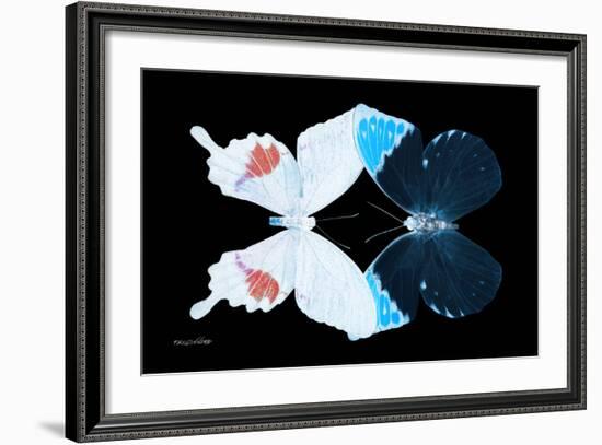 Miss Butterfly Duo Hermosana - X-Ray Black Edition-Philippe Hugonnard-Framed Premium Photographic Print