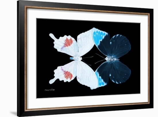 Miss Butterfly Duo Hermosana - X-Ray Black Edition-Philippe Hugonnard-Framed Premium Photographic Print