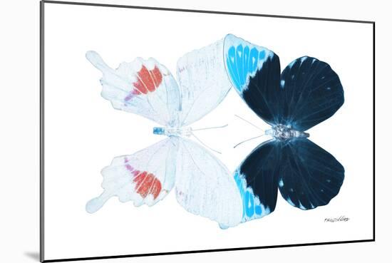 Miss Butterfly Duo Hermosana - X-Ray White Edition-Philippe Hugonnard-Mounted Photographic Print