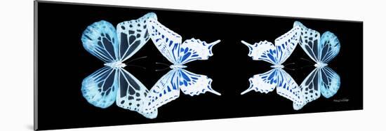 Miss Butterfly Duo Melaxhus Pan - X-Ray Black Edition II-Philippe Hugonnard-Mounted Photographic Print