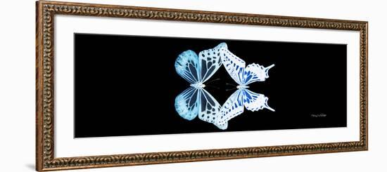 Miss Butterfly Duo Melaxhus Pan - X-Ray Black Edition-Philippe Hugonnard-Framed Photographic Print