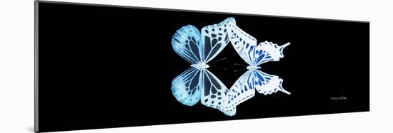 Miss Butterfly Duo Melaxhus Pan - X-Ray Black Edition-Philippe Hugonnard-Mounted Photographic Print