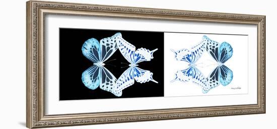 Miss Butterfly Duo Melaxhus Pan - X-Ray White Edition III-Philippe Hugonnard-Framed Photographic Print