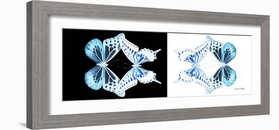 Miss Butterfly Duo Melaxhus Pan - X-Ray White Edition III-Philippe Hugonnard-Framed Photographic Print