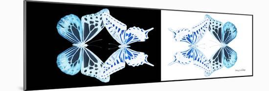Miss Butterfly Duo Melaxhus Pan - X-Ray White Edition III-Philippe Hugonnard-Mounted Photographic Print