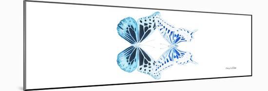 Miss Butterfly Duo Melaxhus Pan - X-Ray White Edition-Philippe Hugonnard-Mounted Premium Photographic Print