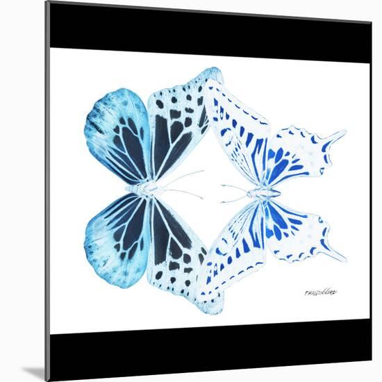 Miss Butterfly Duo Melaxhus Sq - X-Ray B&W Edition-Philippe Hugonnard-Mounted Photographic Print