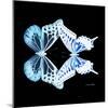 Miss Butterfly Duo Melaxhus Sq - X-Ray Black Edition-Philippe Hugonnard-Mounted Photographic Print