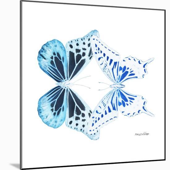 Miss Butterfly Duo Melaxhus Sq - X-Ray White Edition-Philippe Hugonnard-Mounted Photographic Print