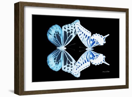 Miss Butterfly Duo Melaxhus - X-Ray Black Edition-Philippe Hugonnard-Framed Photographic Print